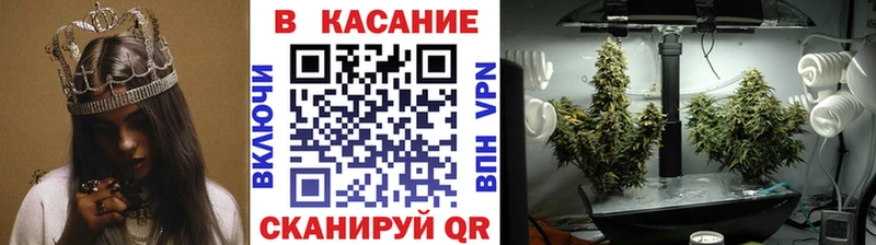 Галлюциногенные грибы Асбест