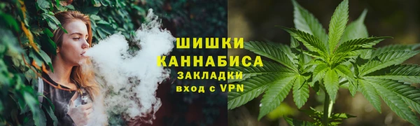 индика Нефтегорск