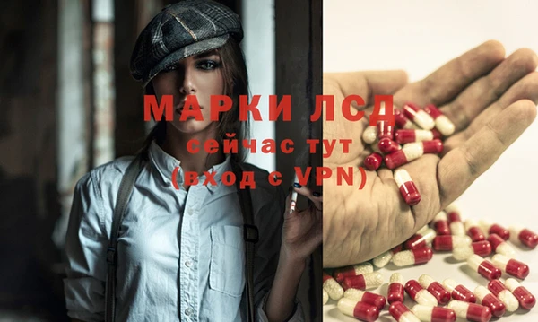 дмт Алзамай