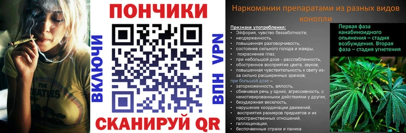 Конопля сатива  Асбест 